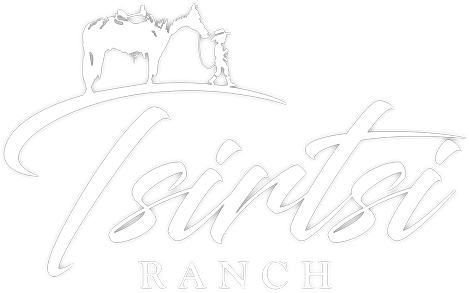 Tsirtsi Ranch - Equitation Western
